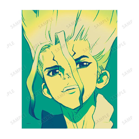 『Dr.STONE』石神千空 paleful キャンバスボード【202510再販】