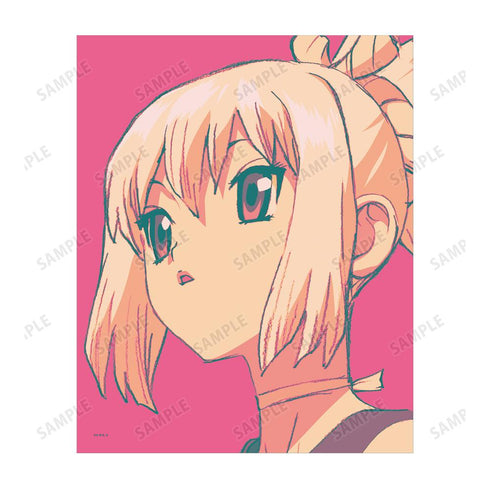 『Dr.STONE』コハク paleful キャンバスボード【202510再販】