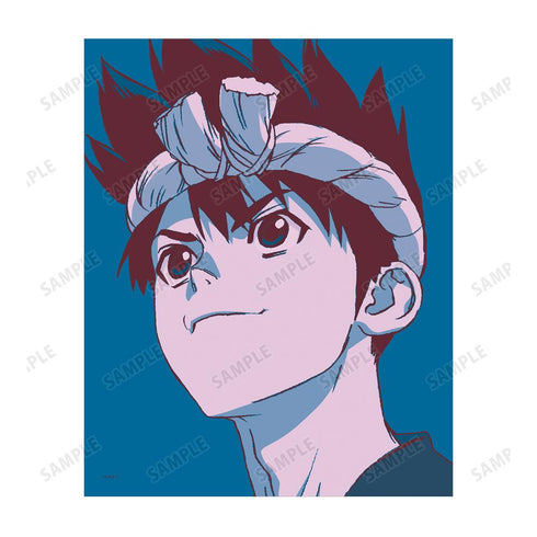 『Dr.STONE』クロム paleful キャンバスボード【202412再販】