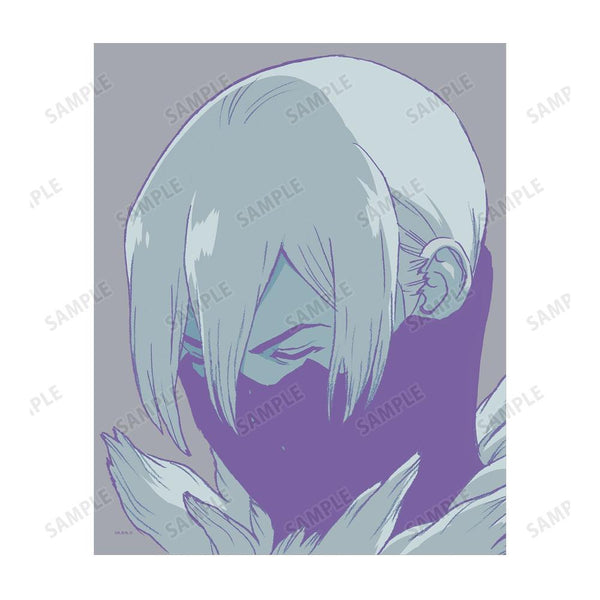 《Dr.STONE》冰月 paleful 帆布画板【202609 再版】