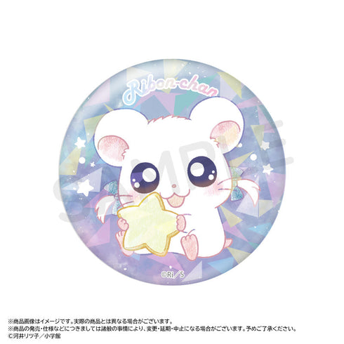『とっとこハム太郎』~Twinkle Dreams~キラキラトレーディング缶バッジ【BOX】