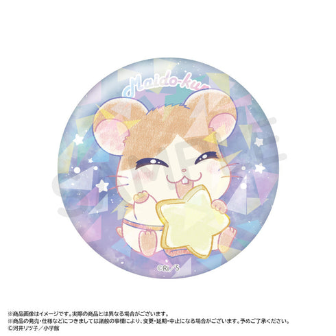 『とっとこハム太郎』~Twinkle Dreams~キラキラトレーディング缶バッジ【BOX】