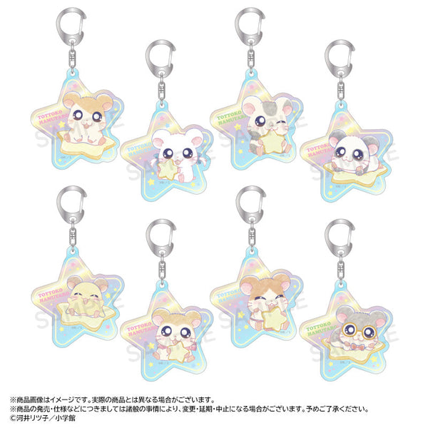 『とっとこハム太郎』~Twinkle Dreams~オーロラアクリルキーホルダー【BOX】【202601再販】