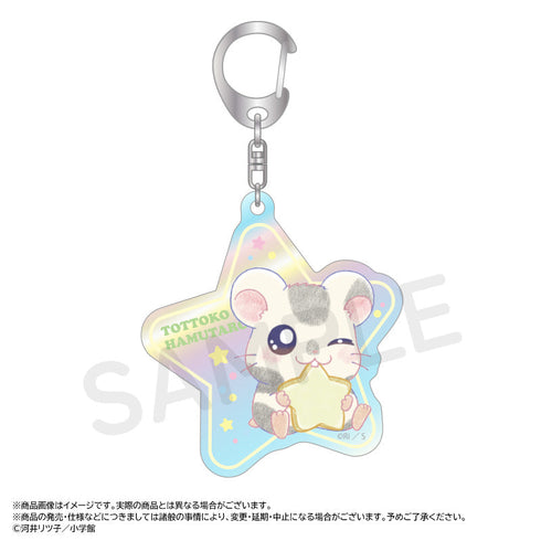 『とっとこハム太郎』~Twinkle Dreams~オーロラアクリルキーホルダー【BOX】