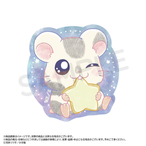 『とっとこハム太郎』~Twinkle Dreams~ダイカットステッカー C.こうしくん