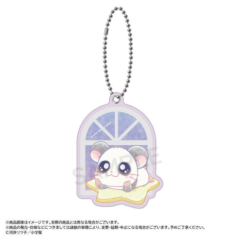 『とっとこハム太郎』~Twinkle Dreams~スライドミラー D.パンダくん【202601再販】