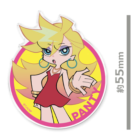 "New PANTY & STOCKING with GARTERBELT" Acrylic Magnet: Panty