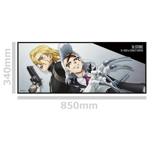『Dr.STONE』缶バッジ付ハイブリッドタオル ゼノ&スタンリー