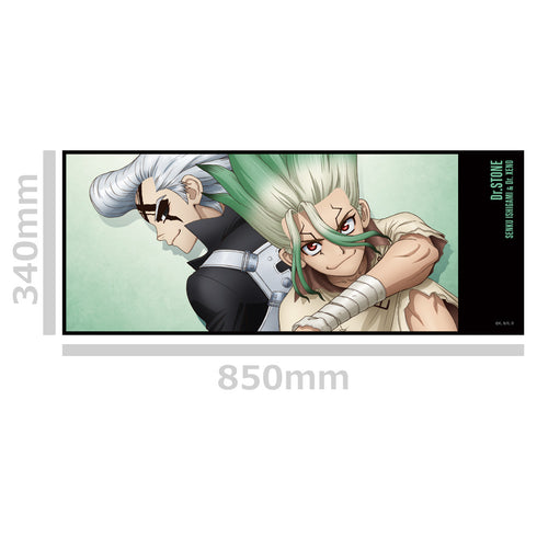 『Dr.STONE』缶バッジ付ハイブリッドタオル 千空&ゼノ