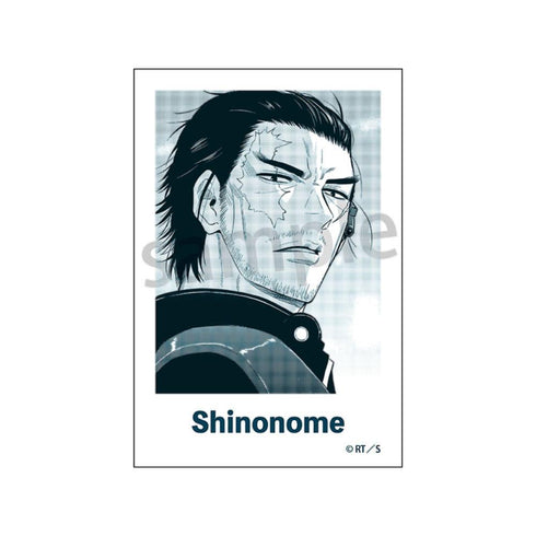 『COSMOS』フォトカード【BOX】