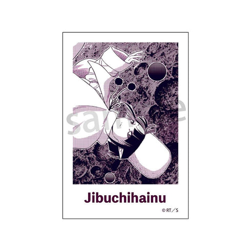 『COSMOS』フォトカード【BOX】