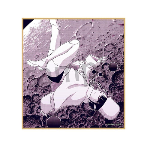 『COSMOS』色紙 ジブチハイヌ