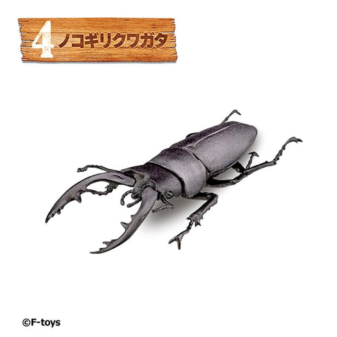 『昆虫ハンター』【食玩】2026【BOX】