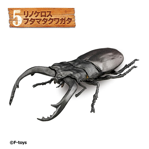 『昆虫ハンター』【食玩】2026【BOX】