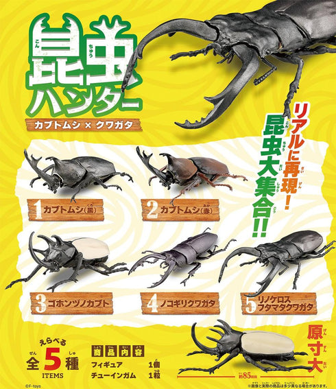 『昆虫ハンター』【食玩】2026【BOX】