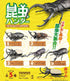 『昆虫ハンター』【食玩】2026【BOX】