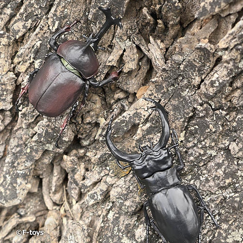 『昆虫ハンター』【食玩】2026【BOX】