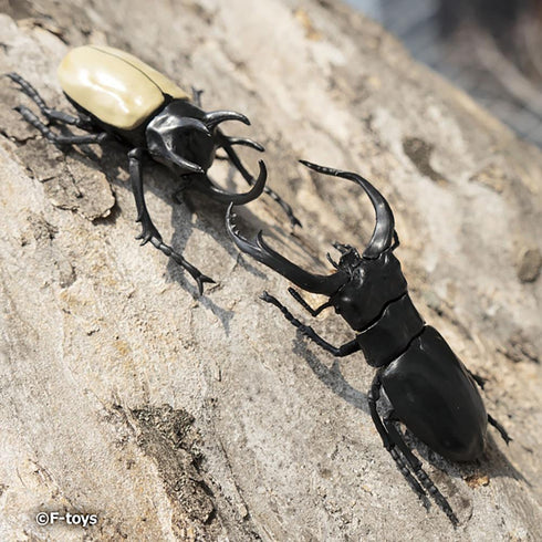 『昆虫ハンター』【食玩】2026【BOX】