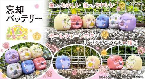 『忘却バッテリー』ハムまるこっと【BOX】