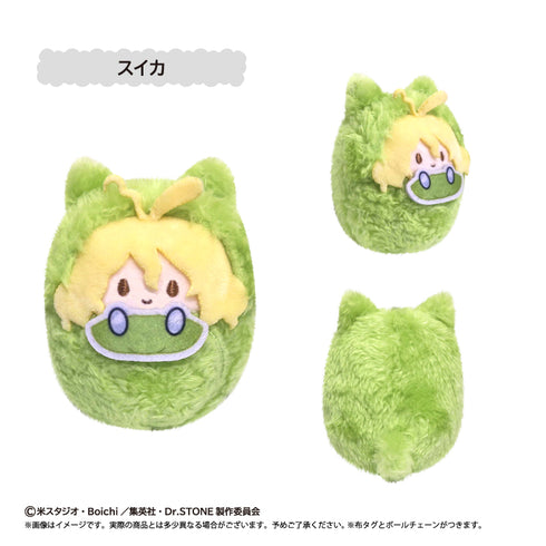 『Dr.STONE』くるみたぴぬい 第3弾【BOX】