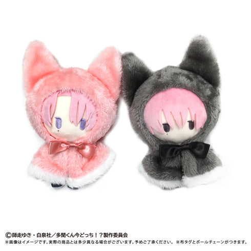 『多聞くん今どっち!?』ケープたぴぬい 福原多聞(イケ原Ver.)