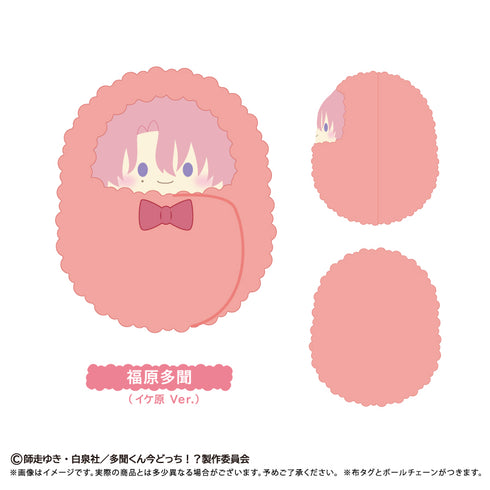 『多聞くん今どっち!?』くるみたぴぬい【BOX】