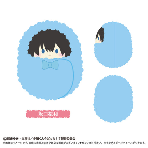 『多聞くん今どっち!?』くるみたぴぬい【BOX】