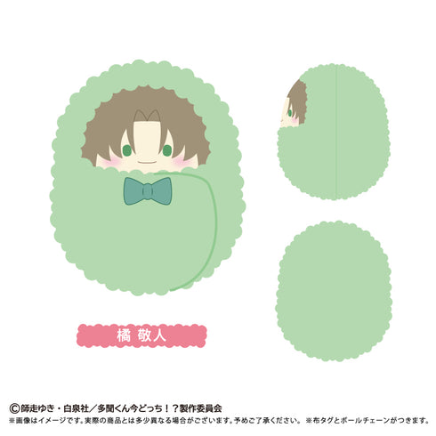 『多聞くん今どっち!?』くるみたぴぬい【BOX】