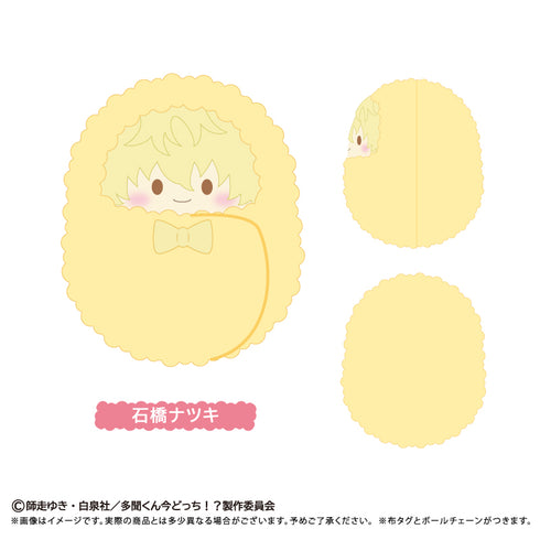 『多聞くん今どっち!?』くるみたぴぬい【BOX】