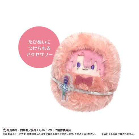 『多聞くん今どっち!?』たぴぬいアクセサリー【BOX】