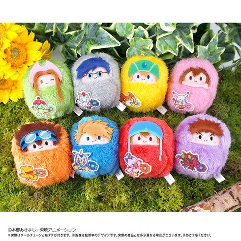 『デジモンアドベンチャー』くるみたぴぬい デジモンアドベンチャーVer.【BOX】