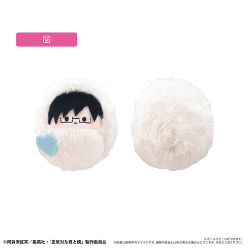 『正反対な君と僕』くるみたぴぬい イエティver.【BOX】