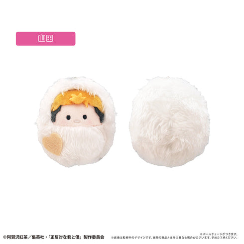 『正反対な君と僕』くるみたぴぬい イエティver.【BOX】