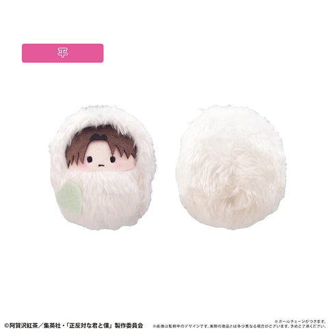 『正反対な君と僕』くるみたぴぬい イエティver.【BOX】