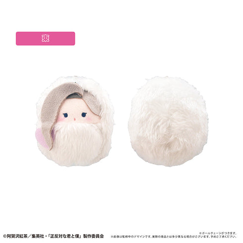 『正反対な君と僕』くるみたぴぬい イエティver.【BOX】