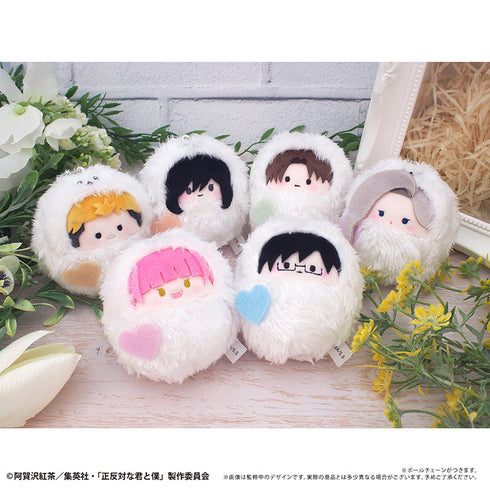 『正反対な君と僕』くるみたぴぬい イエティver.【BOX】