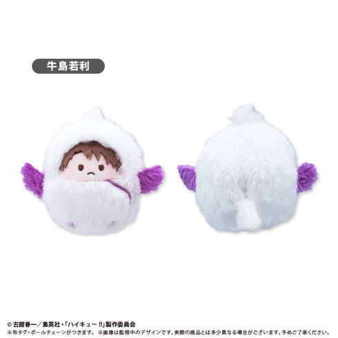 『ハイキュー!!』くるみたぴぬい Vol.3【BOX】