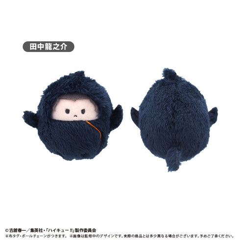 『ハイキュー!!』くるみたぴぬい Vol.4【BOX】