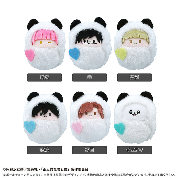 《截然不同的你和我》胡桃塔皮努伊 熊猫版【BOX】