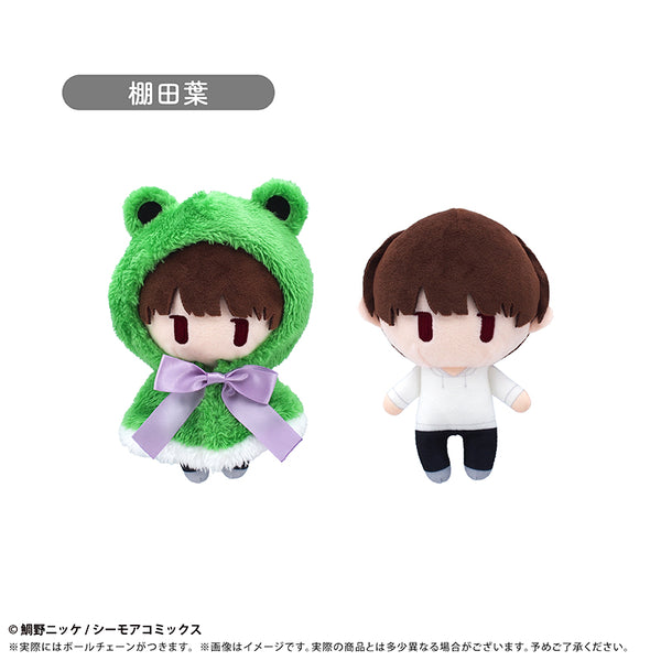 『体感予報』ケープたぴぬい 棚田 葉