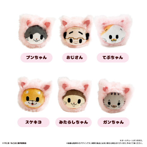 『ねこに転生したおじさん』はるにゃんこたぴぬい【BOX】