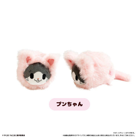 『ねこに転生したおじさん』はるにゃんこたぴぬい【BOX】