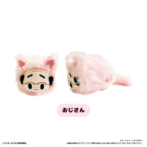 『ねこに転生したおじさん』はるにゃんこたぴぬい【BOX】