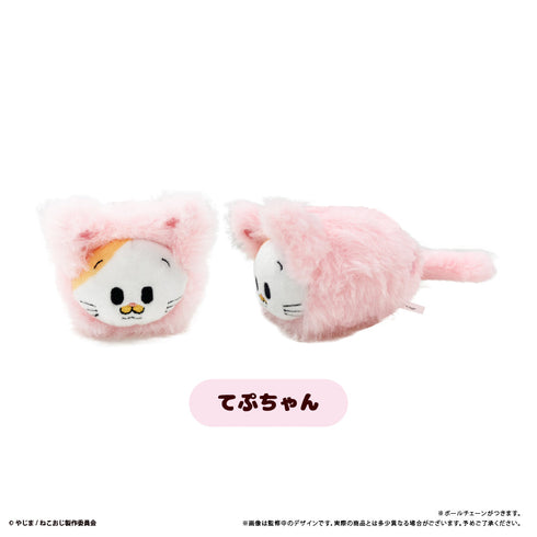 『ねこに転生したおじさん』はるにゃんこたぴぬい【BOX】