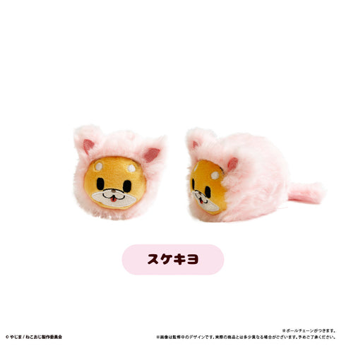 『ねこに転生したおじさん』はるにゃんこたぴぬい【BOX】