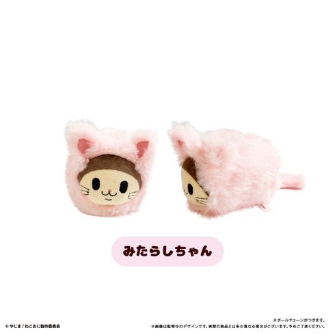 『ねこに転生したおじさん』はるにゃんこたぴぬい【BOX】