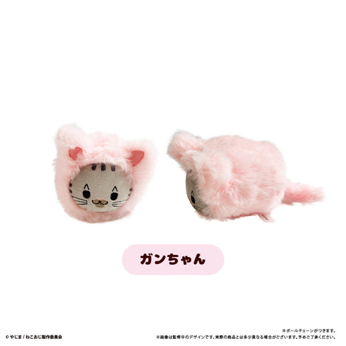 『ねこに転生したおじさん』はるにゃんこたぴぬい【BOX】