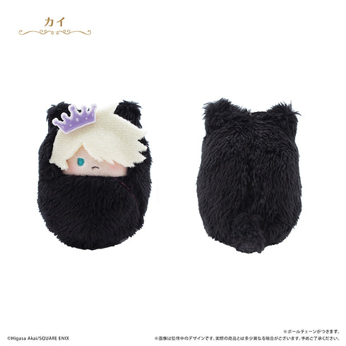 『王室教師ハイネ』くるみたぴぬい【BOX】