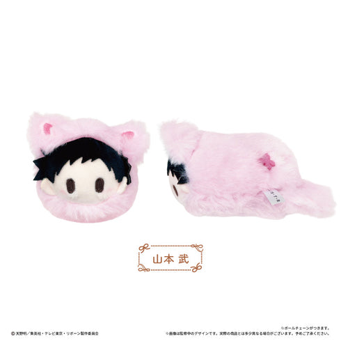 『家庭教師ヒットマンREBORN!』はるにゃんこたぴぬい【BOX】