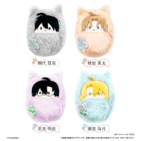 『鯛代くん、君ってやつは。』くるみたぴぬい 差波明依